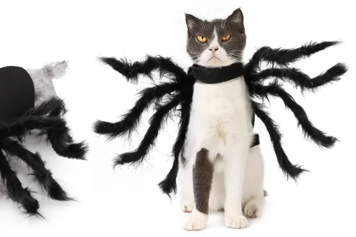 万圣节爆款预测：$30的睡衣月销2万+！服饰、家居、宠物3大品类预测