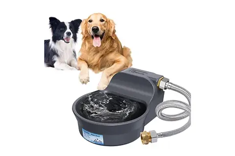 自动狗饮水碗，美国专利速看!