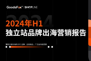 2024年H1独立站品牌出海营销报告