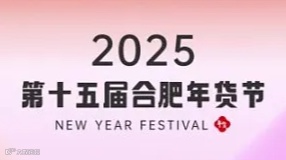2025年第15届合肥年货节