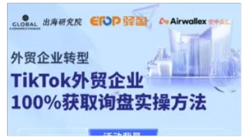 tiktok外贸企业100%获取询盘实操<em>方法</em>