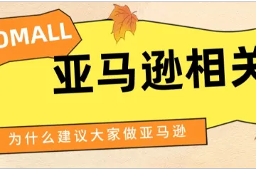 新手必看！！从0-1；入门亚马逊跨境电商运营1