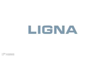 2025年德国汉诺威木工机械展览会 LIGNA