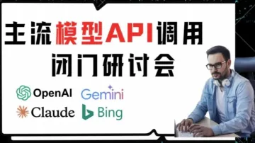 海外大模型<em>API</em><em>调用</em>闭门研讨会