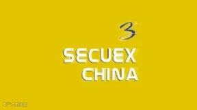 2025年广州国际国土安全与安防展览会 SecuEx China