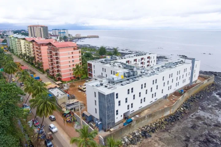 鋁礬土之國：幾內(nèi)亞市場全景一覽