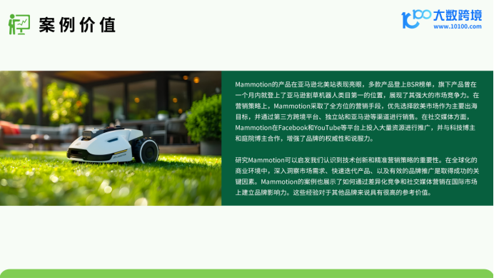 《大数跨境：2024割草机器人品类出海研究报告》：智能化园林的新机遇