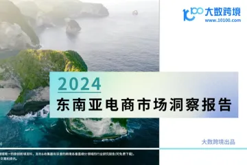 《大数跨境：2024东南亚电商市场洞察报告》：热带新天地的财富之谜