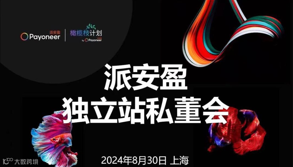 派安盈 独立站私董会