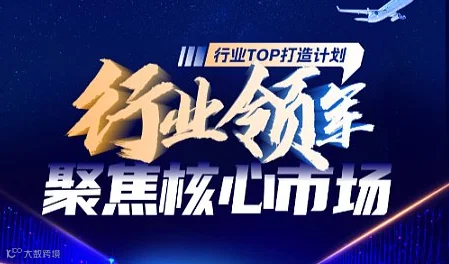 行业领军-聚焦核心市场