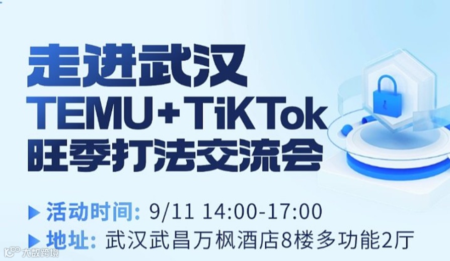 走进武汉 TEMU+Tiktok旺季打法交流会