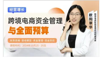 跨境电商<em>资金</em>管理与全面预算