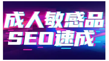 《成人用品独立<em>站</em><em>SEO</em>流量黑客班》