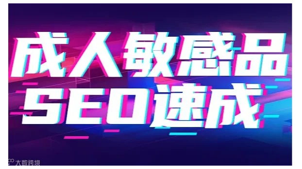 《成人用品独立站SEO流量黑客班》