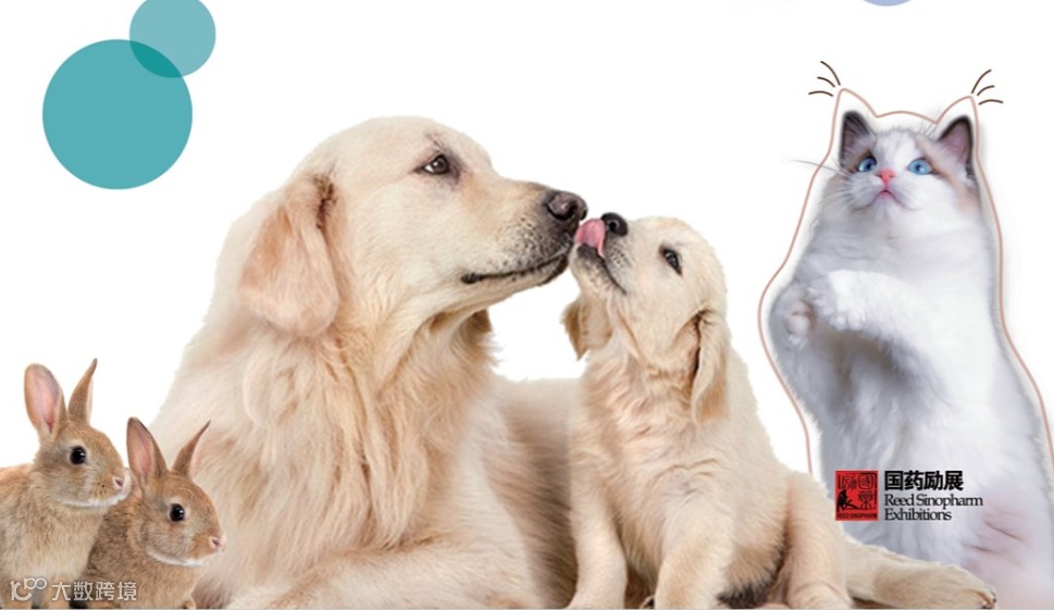 2024年宠物小东西兽用医疗器械展10月深圳宠物健康展