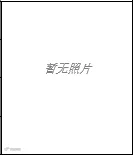 暂无照片.png