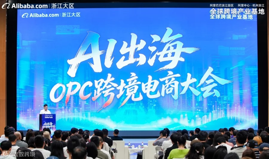 阿里外贸峰会 | 出海正当时！