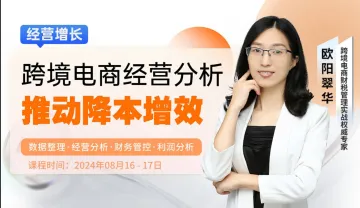 跨境电商经营<em>分析</em>推动降本增效