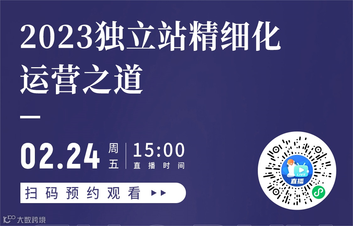 2023独立站精细化运营之道 