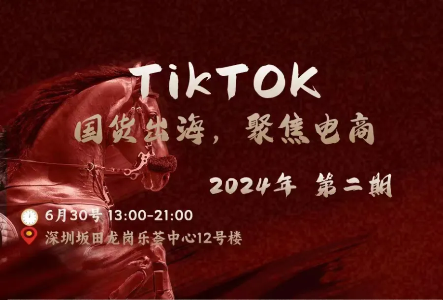 TikTOK国货出海，聚焦电商 2024年 第二期