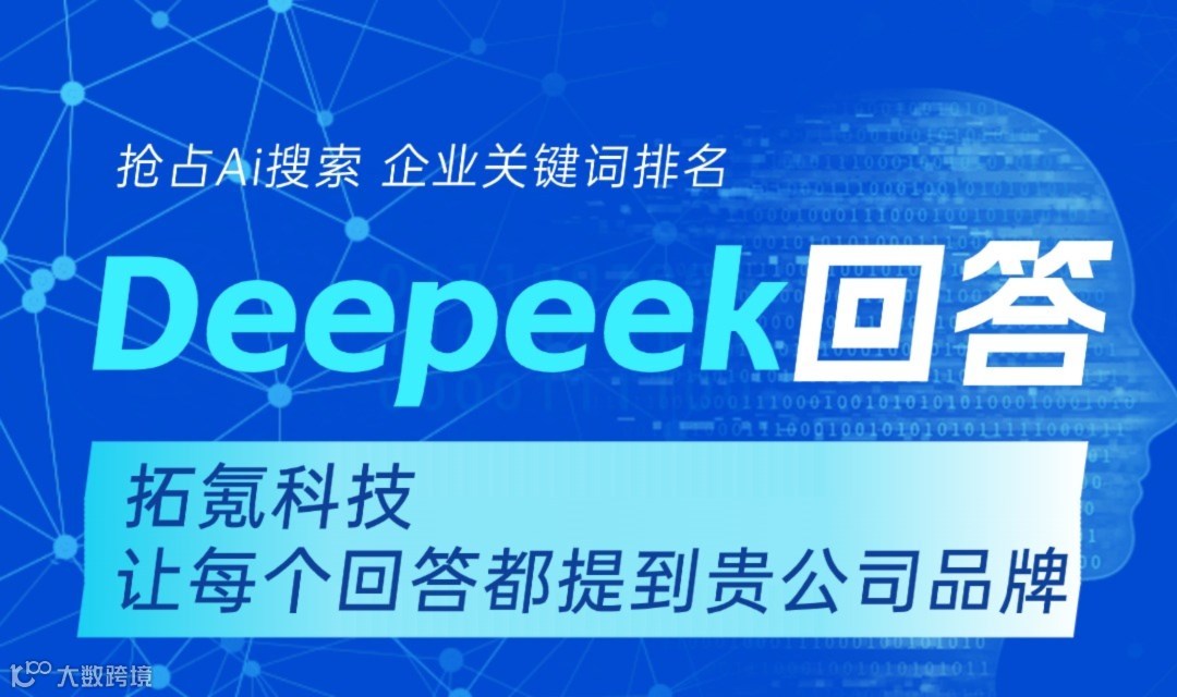 deepseek优化服务-AI智能营销系统