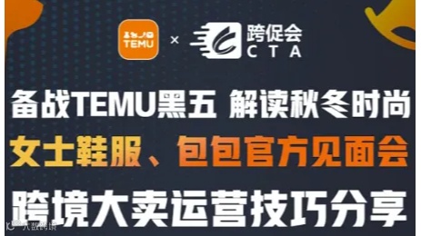 TEMU黑五备战分享会