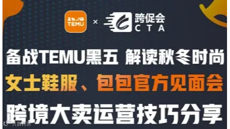 TEMU黑五备战分享会