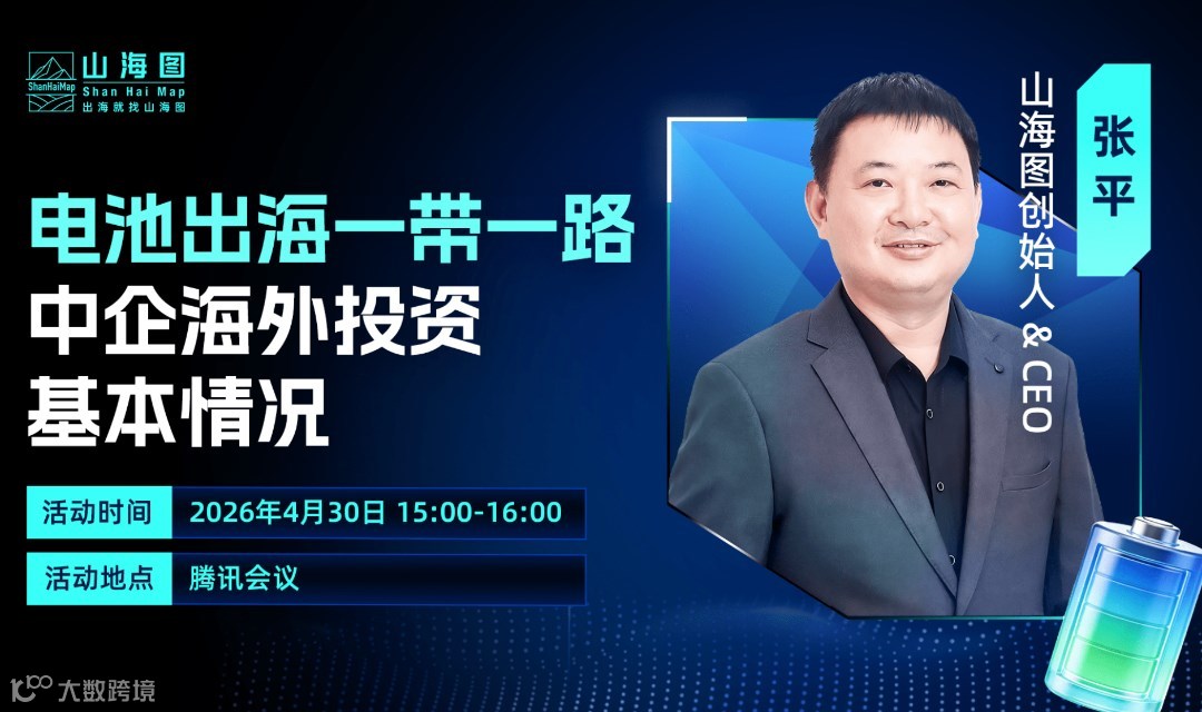 电池出海一带一路：中企海外投资基本情况