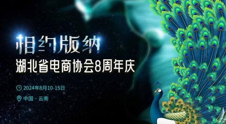 相约版纳 | 湖北省电子商务行业协会8周年庆