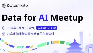 <em>Data</em> for AI Meetup