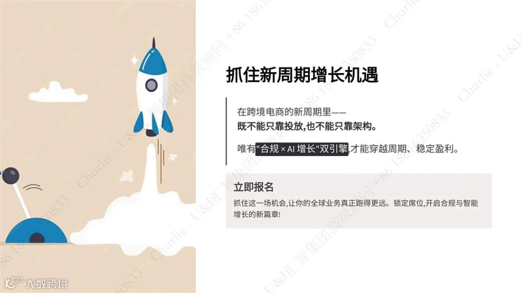 中国跨境电商全球合规_05.jpg