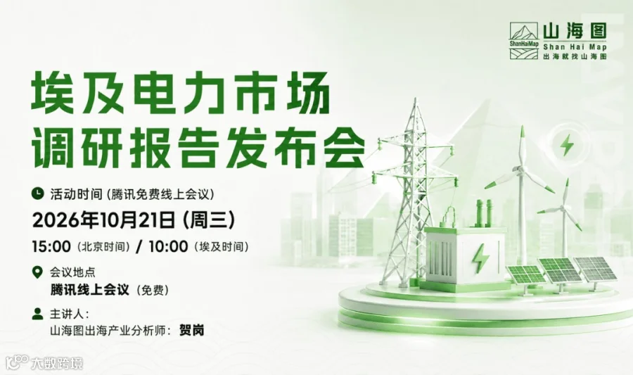 埃及电力市场调研报告发布会