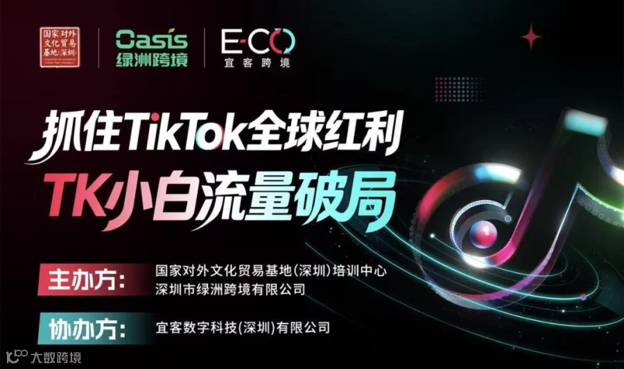 抓住TikTok:全球红利TK小白流量破局
