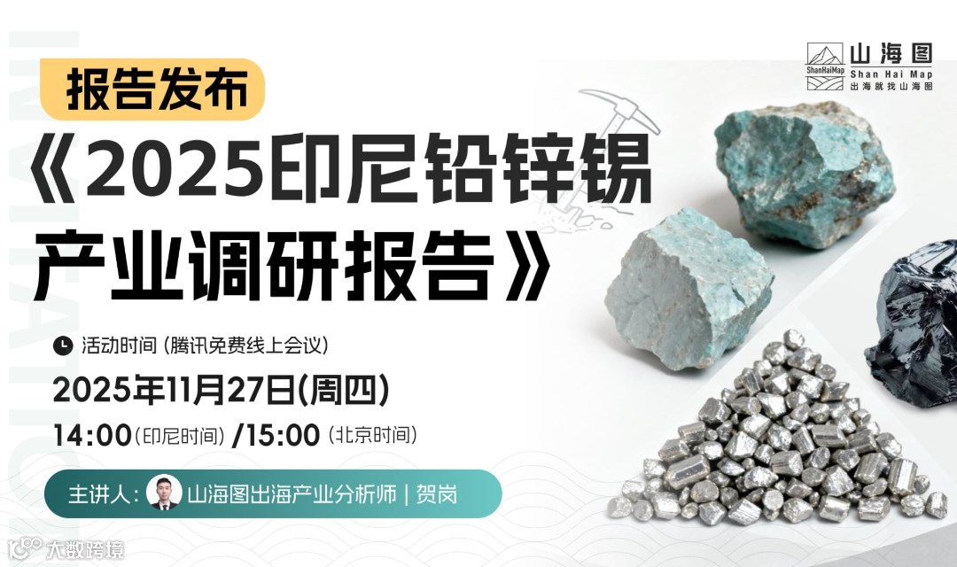 《2025印尼铅锌锡产业调研报告》发布【出海】