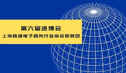 第六届进博会-上海跨境电子商务行业协会观展团
