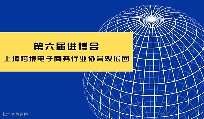 第六届进博会-上海跨境电子商务行业协会观展团