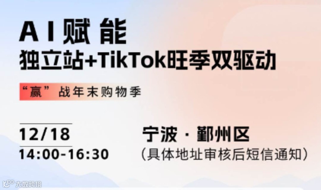 AI赋能：独立站+TikTok旺季双驱动—— 复盘黑五，赢战年末购物季