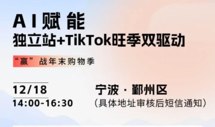 AI赋能：独立站+TikTok旺季双驱动—— 复盘黑五，赢战年末购物季