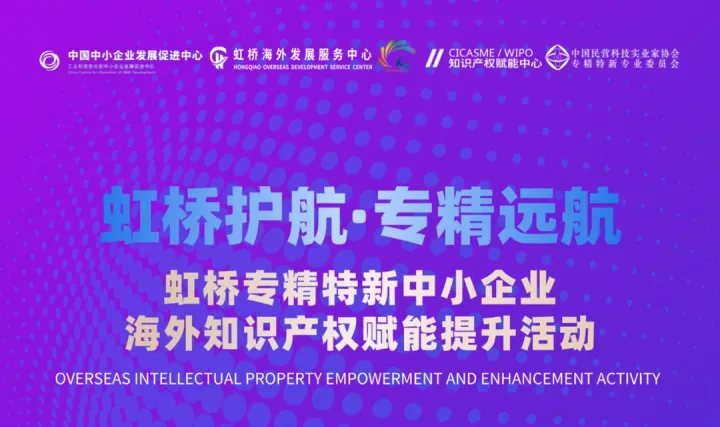 虹桥专精特新中小企业海外知识产权赋能提升活动