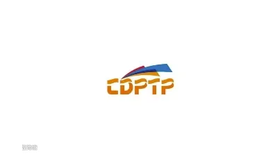 2025年上海国际创意设计印刷包装纸业精品展 CDPTP