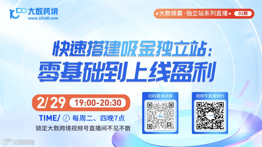 大数锦囊-独立站系列直播课程01期