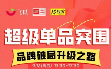 超级单品突围品牌破局<em>升级</em>之路