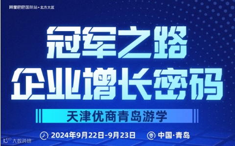 冠军之路 企业增长密码