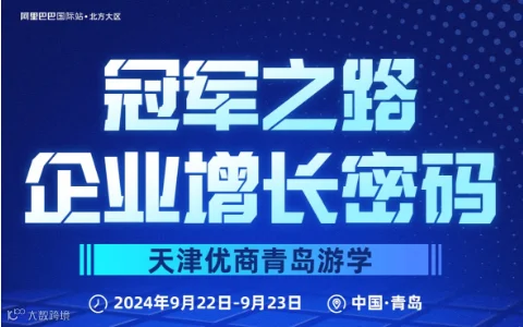 冠军之路 企业增长密码