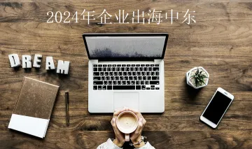 2024年企业出海中东