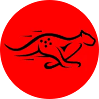 獵豹TK短視頻網絡節點