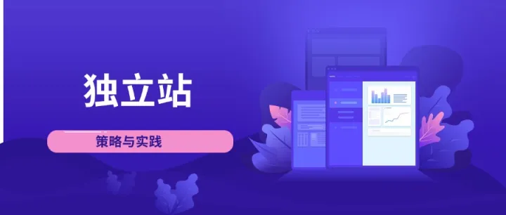 德国电商独立站：探索欧洲市场的新机遇