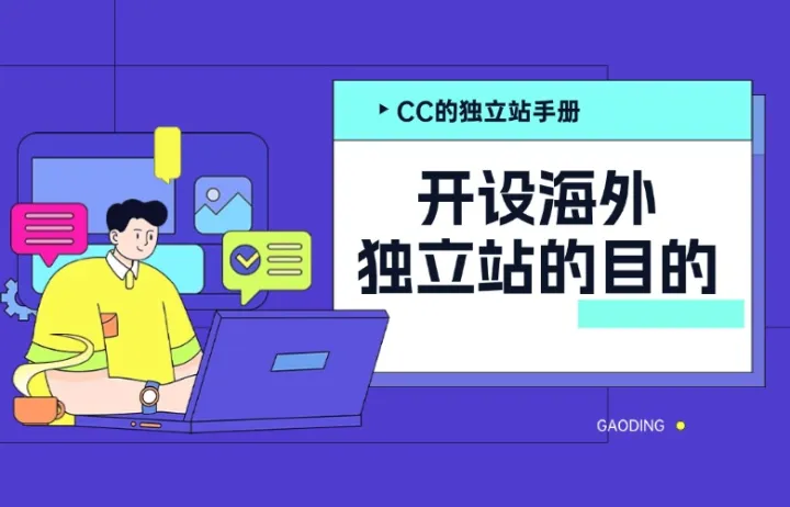 开设海外独立站的目的