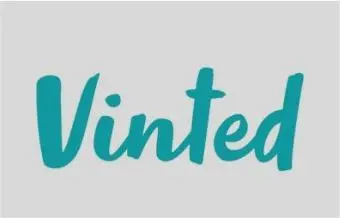 Vinted电商平台收款指南