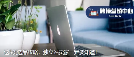 这5类选品攻略，独立站卖家一定要知道！